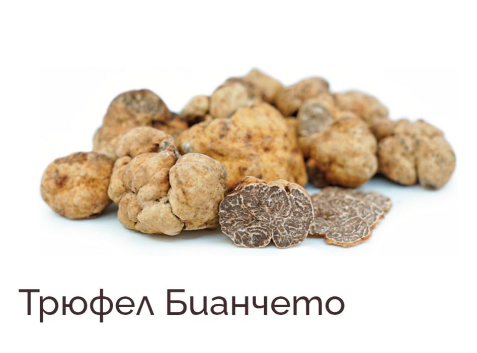 Бургундски трюфел